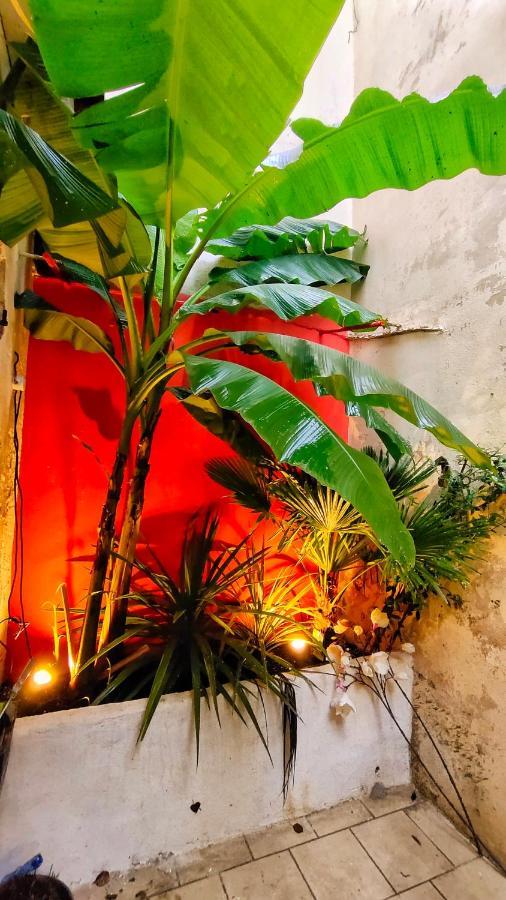 Votre Escale Jungle Sauna & Spa Niort Luaran gambar